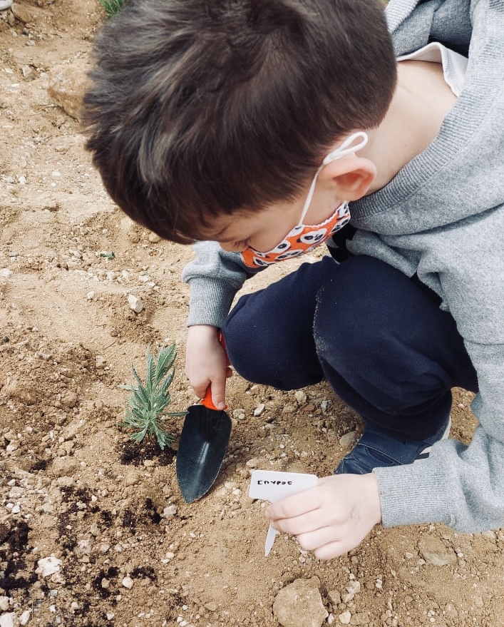 Η Sunlight Group πραγματοποιεί δενδροφυτεύσεις στις περιοχές όπου δραστηριοποιείται 