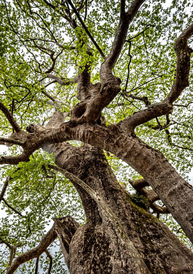 Eκπαιδευτικές δράσεις του προγράμματος Μοριάς ’21 για μαθητές