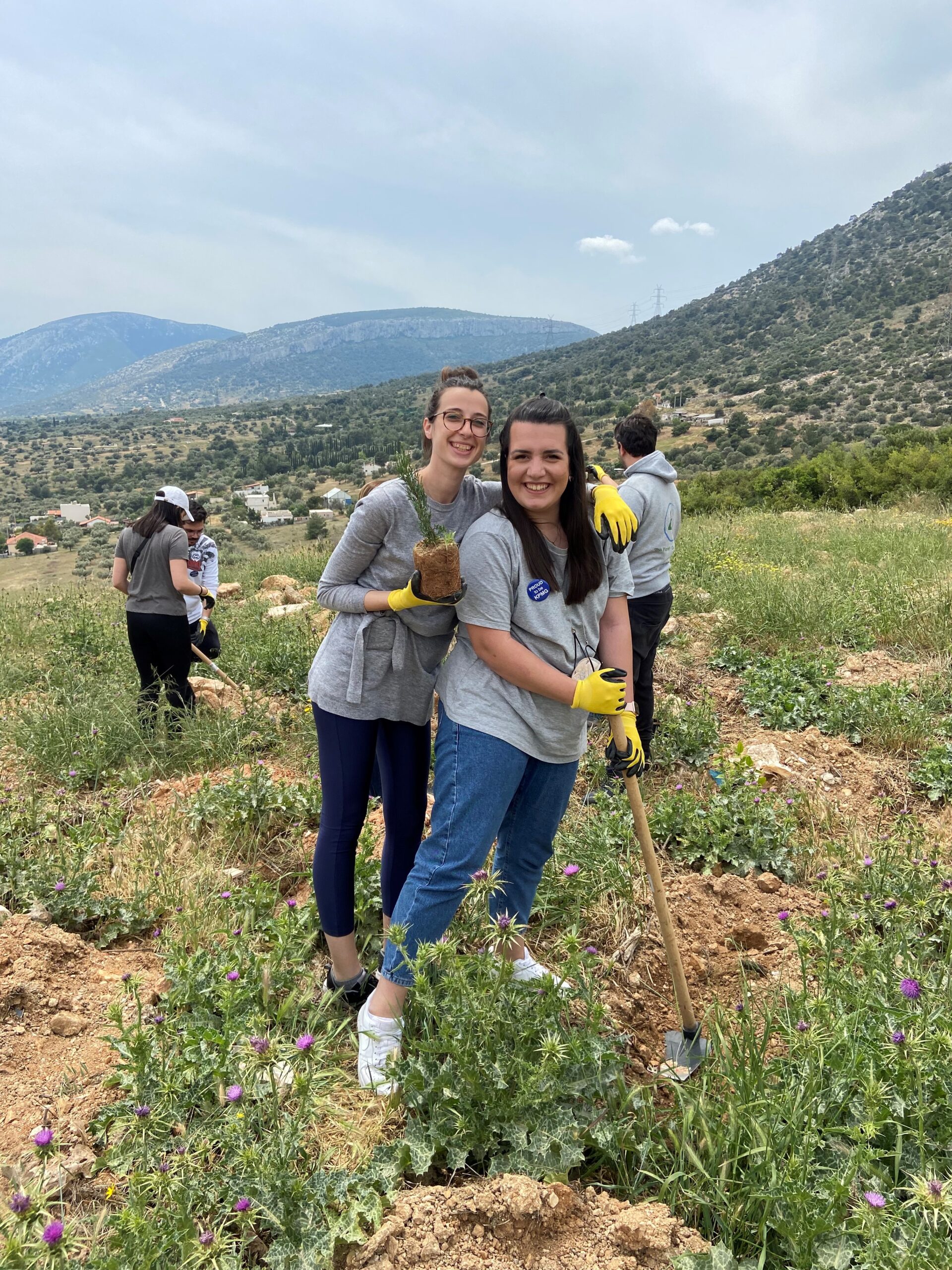 Δεντροφύτευση σε Αττική και Εύβοια με την υποστήριξη της KPMG