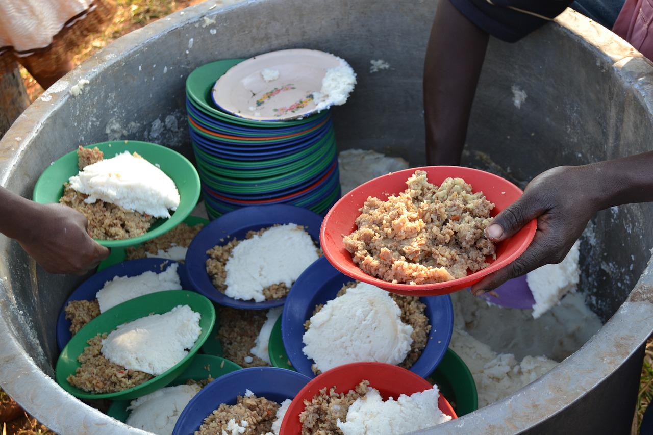 Από την επισιτιστική ανασφάλεια στην παγκόσμια κρίση τροφίμων