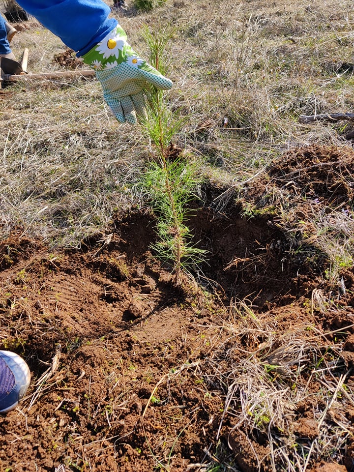 Μαζί για ένα «πράσινο» μέλλον: ALUMIL και we4all 