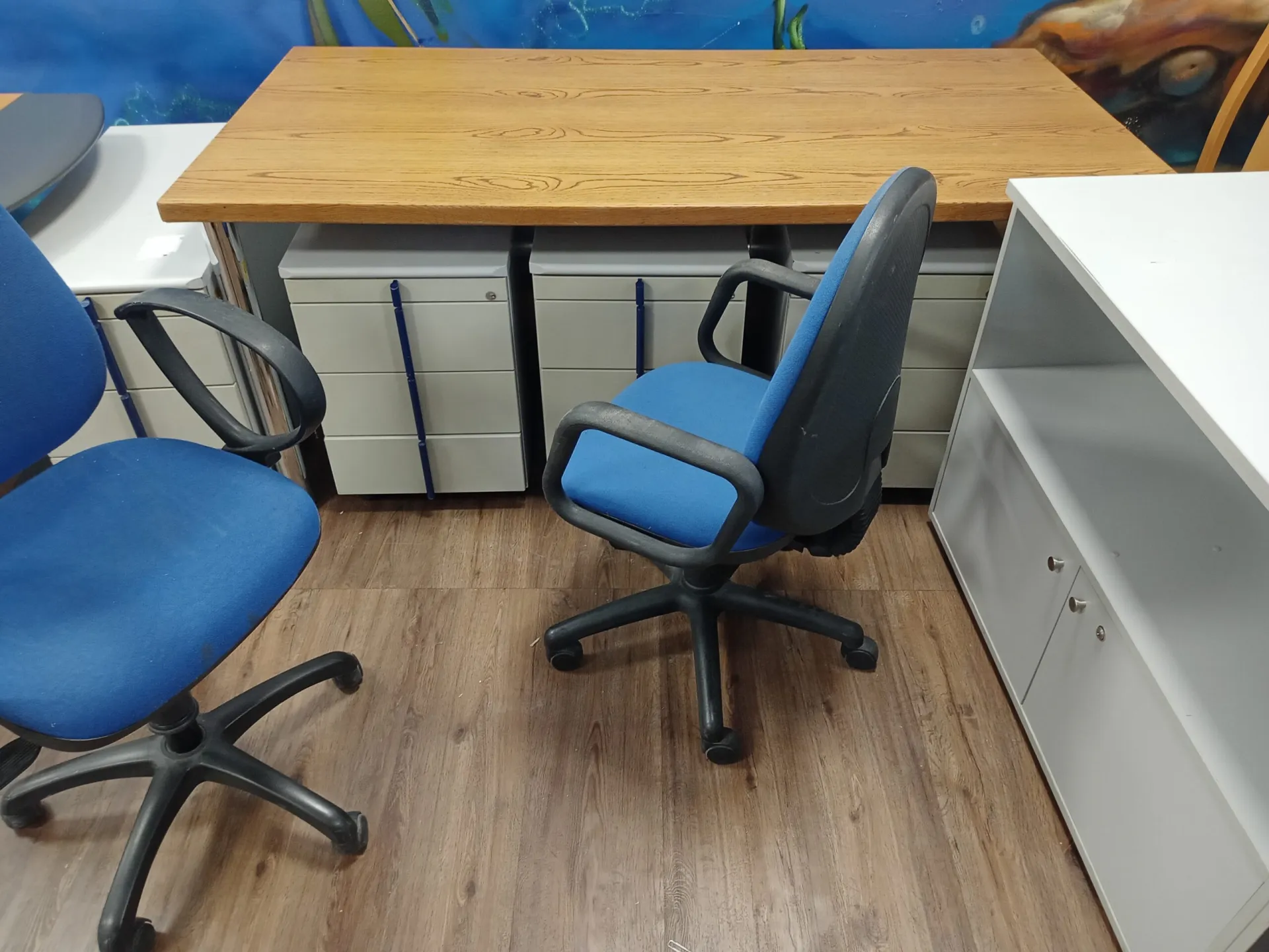 Praktiker Hellas: Δωρεά στο Άσυλο Ανιάτων