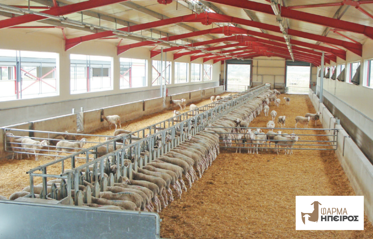 ΦΑΡΜΑ ΗΠΕΙΡΟΣ: Μικρότερο ανθρακικό αποτύπωμα γάλακτος