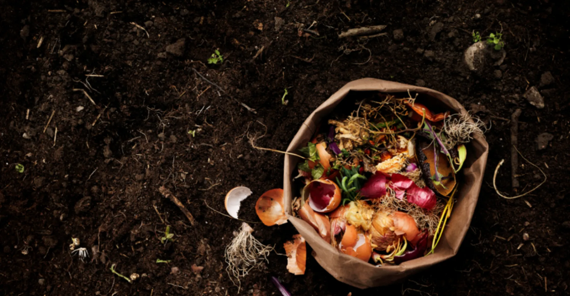 Η ΙΚΕΑ μέλος της «Συμμαχίας για τη μείωση σπατάλης τροφίμων»