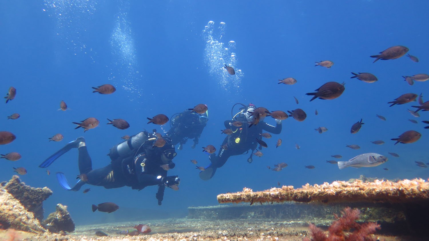 Σ.Κεδίκογλου: Πρότυπο για την προστασία των θαλασσών μας οι ψαράδες της Αμοργού