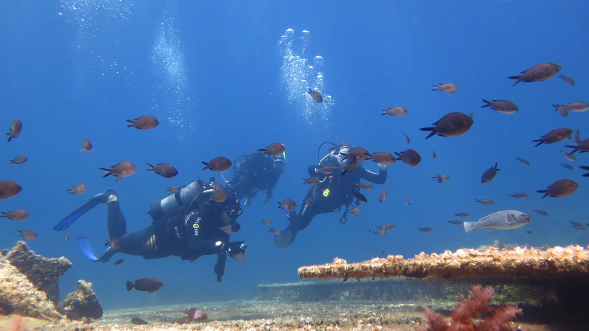 Σ.Κεδίκογλου: Πρότυπο για την προστασία των θαλασσών μας οι ψαράδες της Αμοργού 