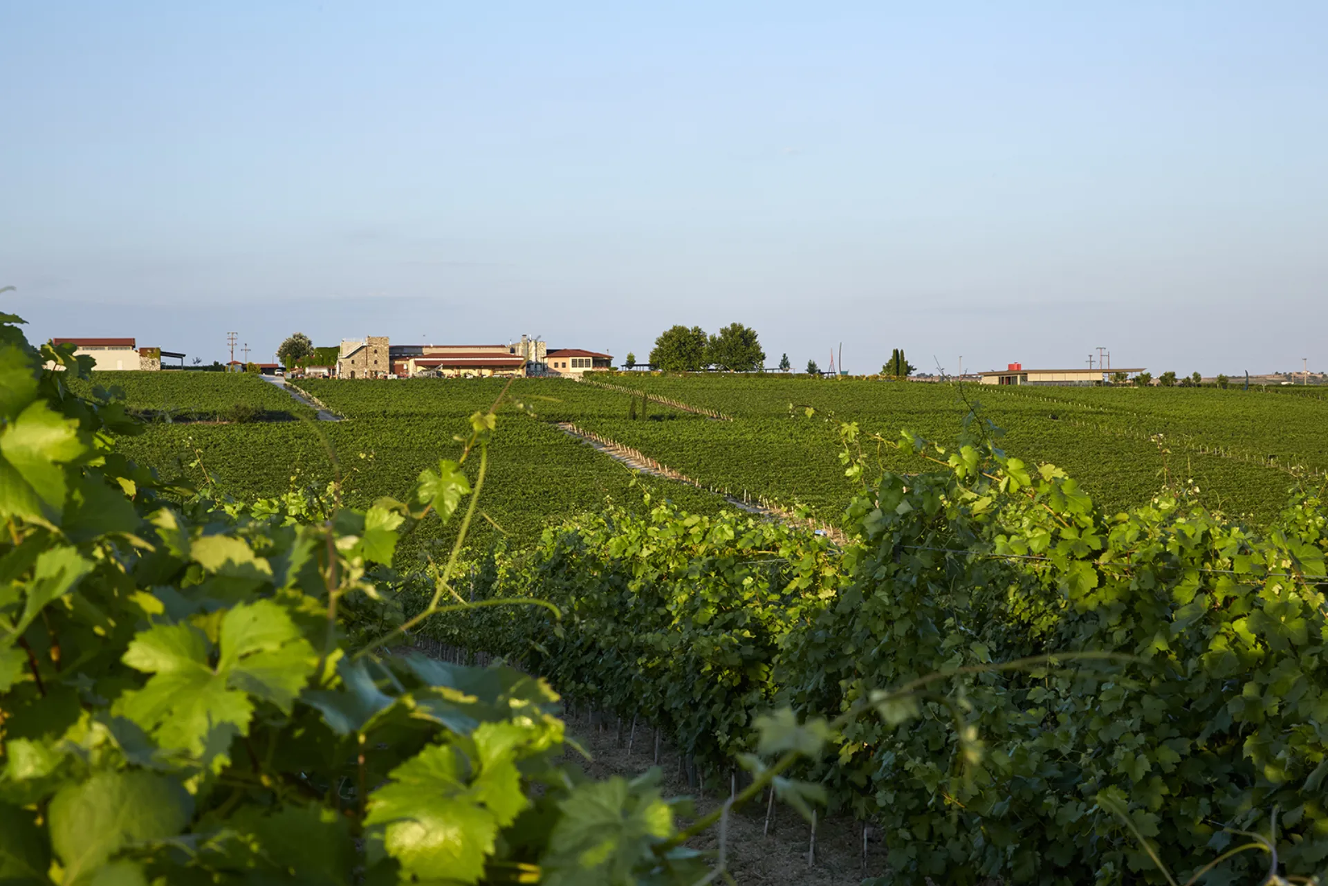 Tο Κτήμα Γεροβασιλείου επαναπιστοποίησε η TÜV HELLAS (TÜV NORD)