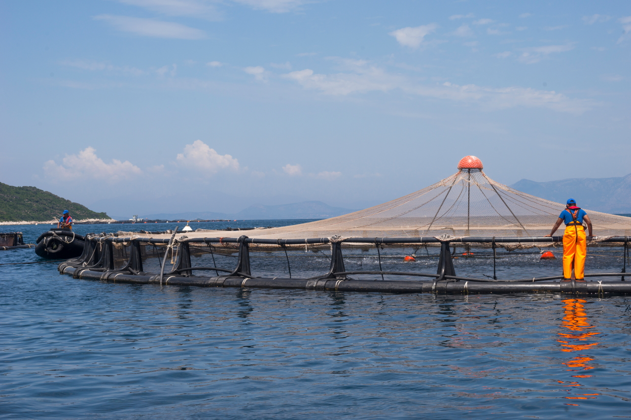 ΕΛΟΠΥ: ΜoU για απασχόληση μεταναστών στις υδατοκαλλιέργειες