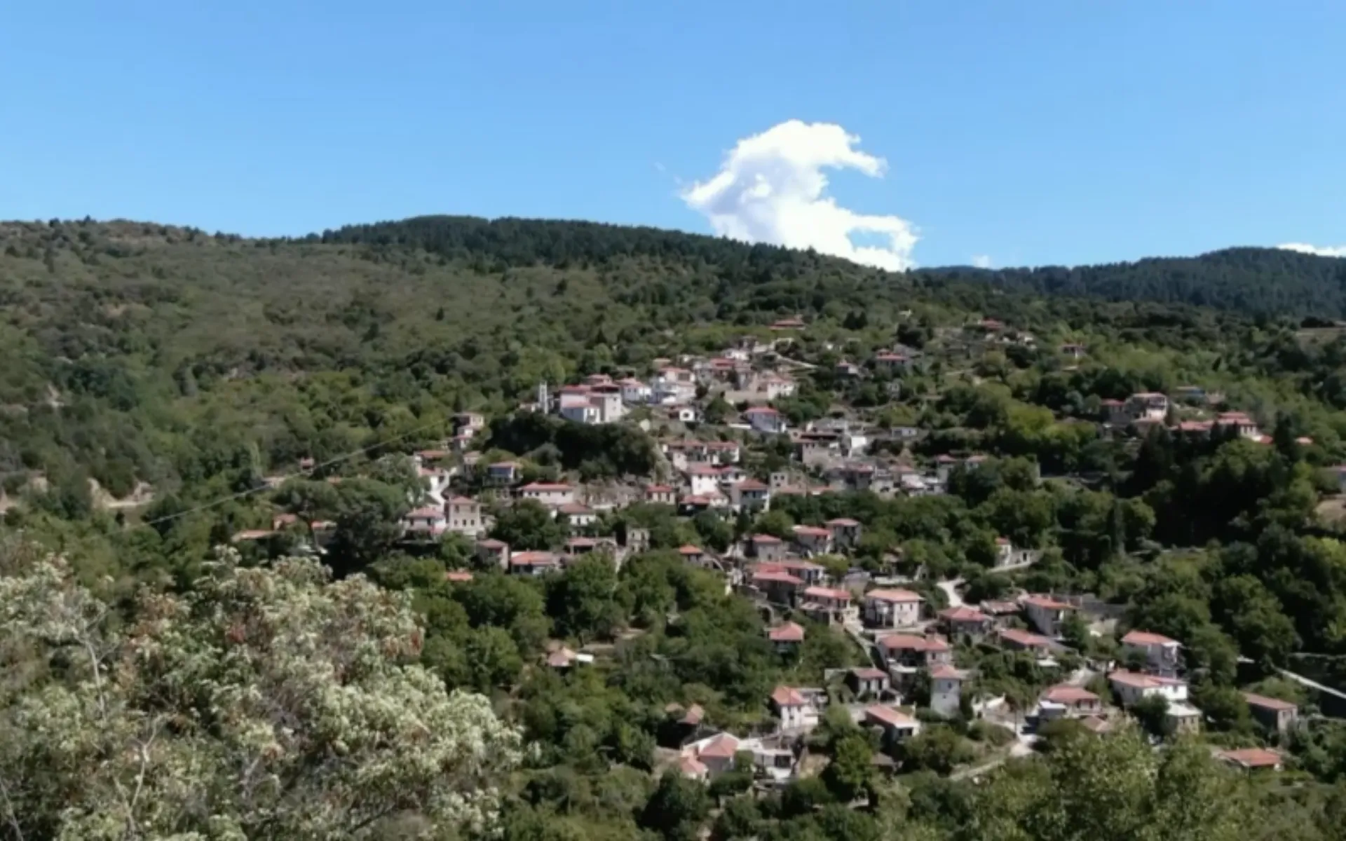 Θερμοκοιτίδα Επιχειρήσεων στη Βαμβακού: 1ος Κύκλος 