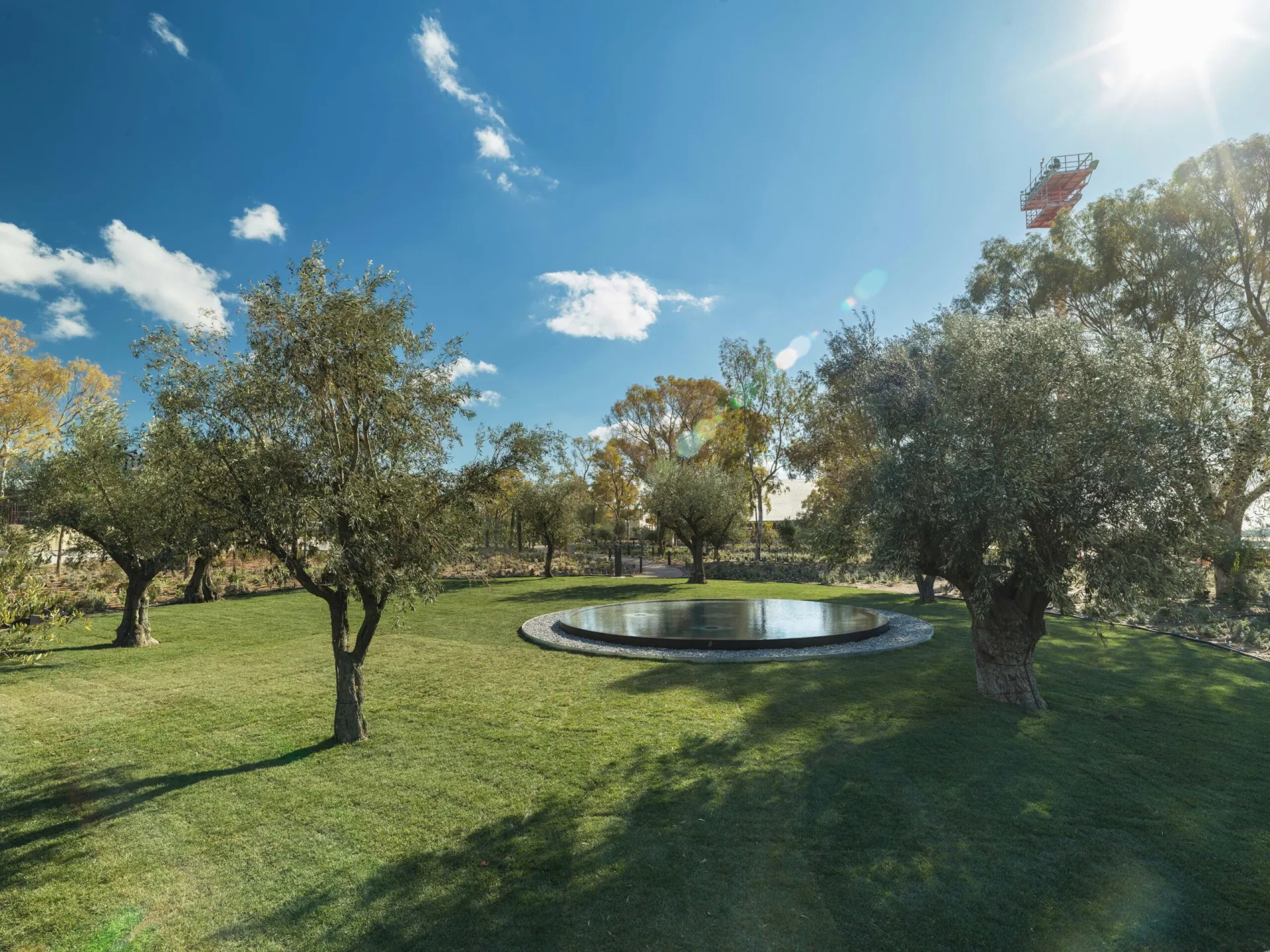 Mεταφυτεύσεις δέντρων παράλληλα με τις κατασκευαστικές εργασίες στο Ελληνικό