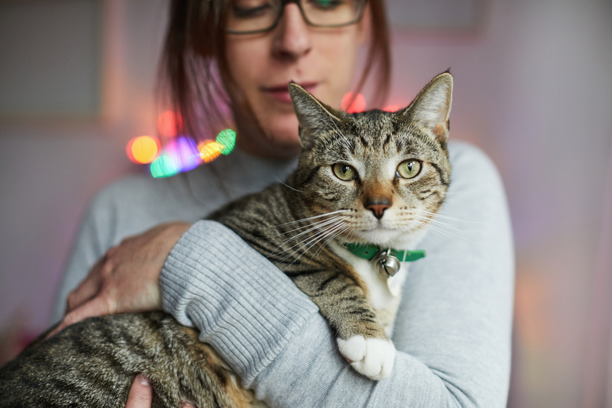 Tα φιλικά προϊόντα για κατοικίδια εξίσου σημαντικά με τα φιλικά για παιδιά