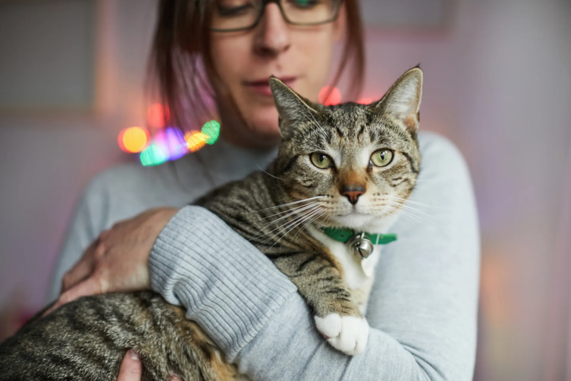 Tα φιλικά προϊόντα για κατοικίδια εξίσου σημαντικά με τα φιλικά για παιδιά