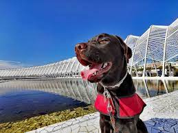 Ολυμπιακή Ζυθοποιία: Δράση με συμμετοχή εργαζόμενων στο πάρκο ΦΙΞ