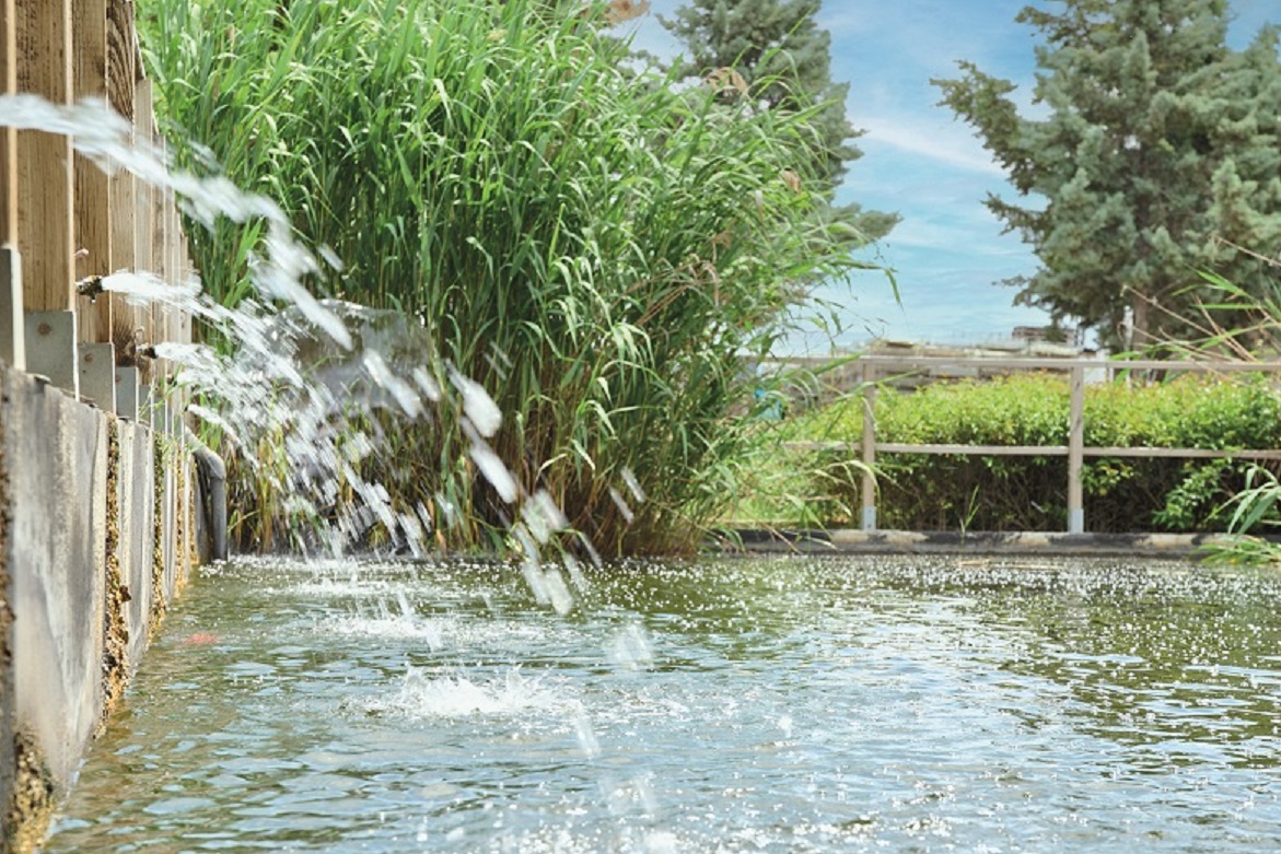 Coca-Cola Τρία Έψιλον: Platinum πιστοποίηση για την διαχείριση νερού