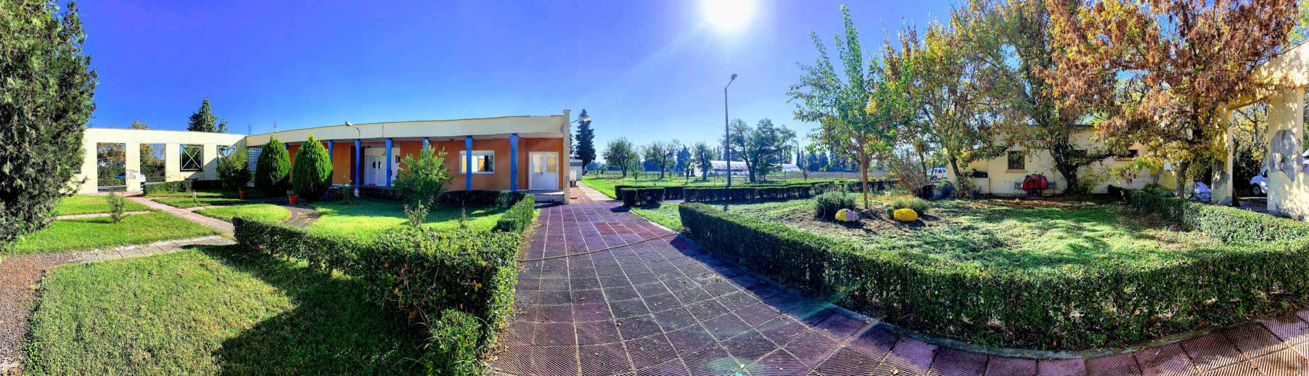 To ΚΕΘΕΑ ΣΧΗΜΑ+XΡΩΜΑ επαναπιστοποίησε η TÜV HELLAS (TÜV NORD)