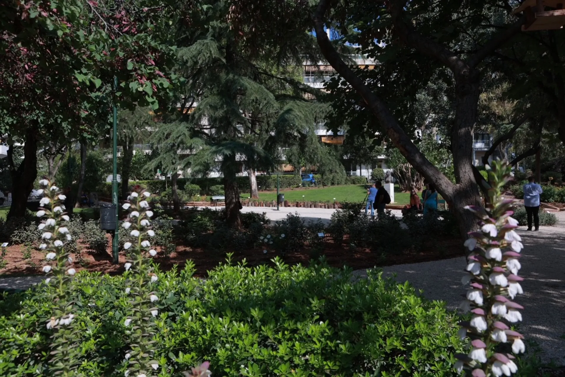 ΦΙΞ Ελλάς: Ανάπλαση της πλατείας «Σοφία Βέμπο» στους Αμπελοκήπους