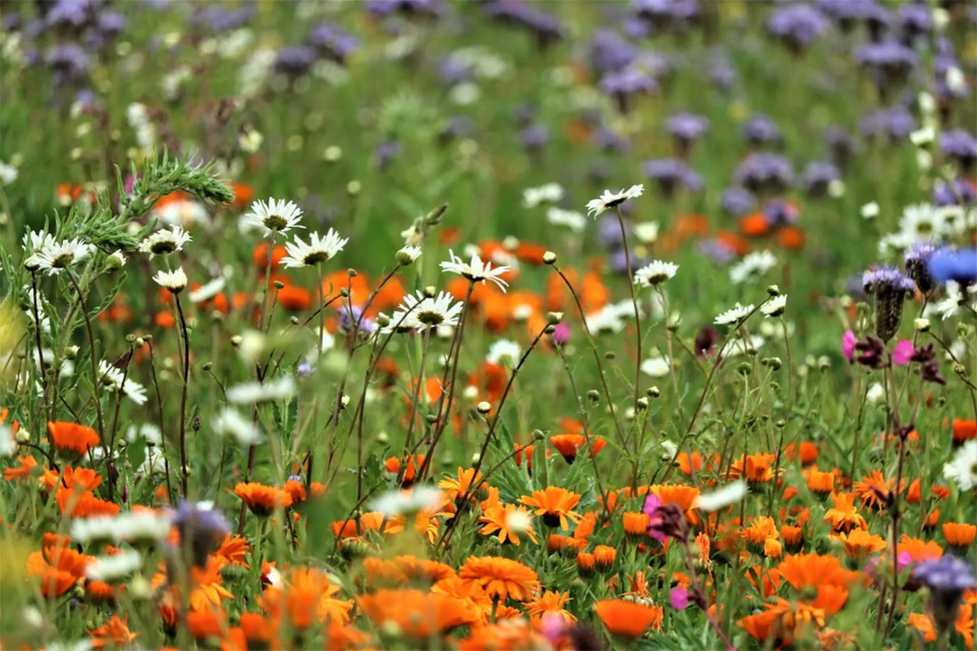 Συνεργασία: “Κλειδί” για οικοδόμηση ανθεκτικότητας μετά από καταστροφές