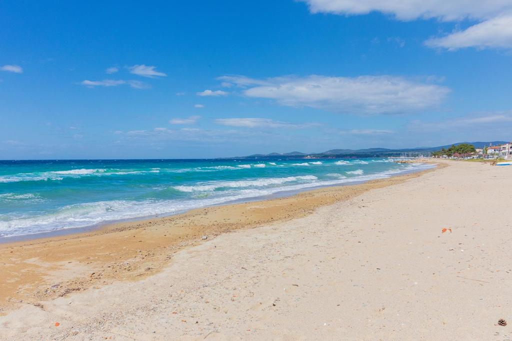 ΓΓΠΠ: Κίνδυνος πυρκαγιάς στη Γαλάζια Ακτή