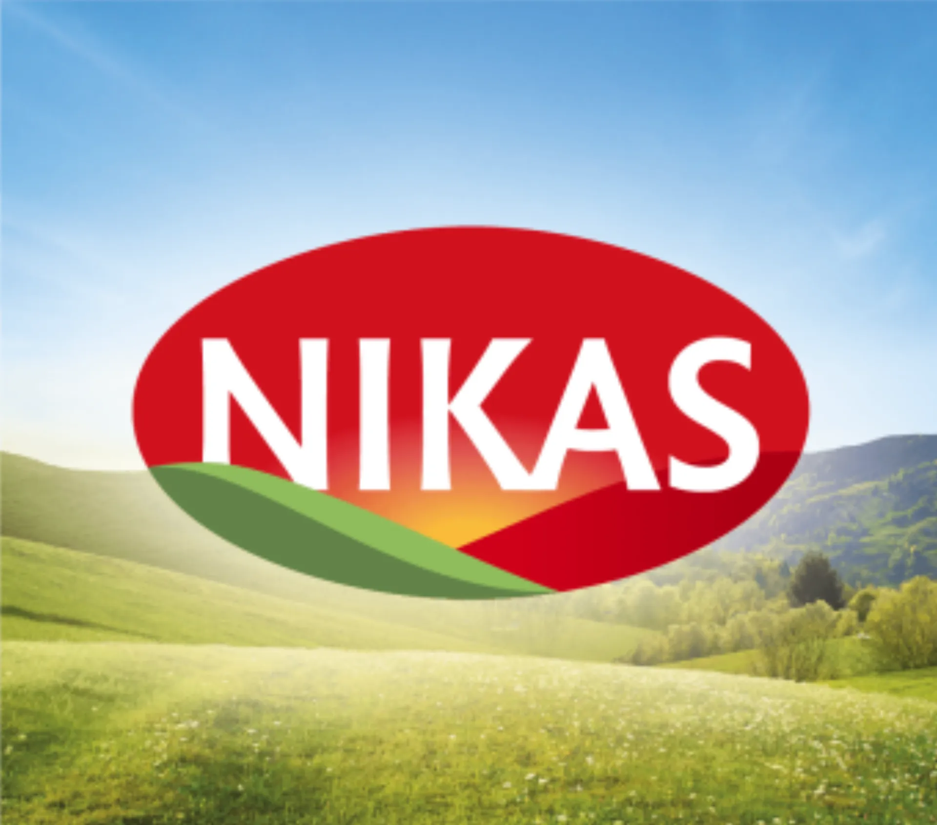 Η ΝΙΚΑΣ μειώνει “μόνιμα” τις τιμές των προϊόντων της