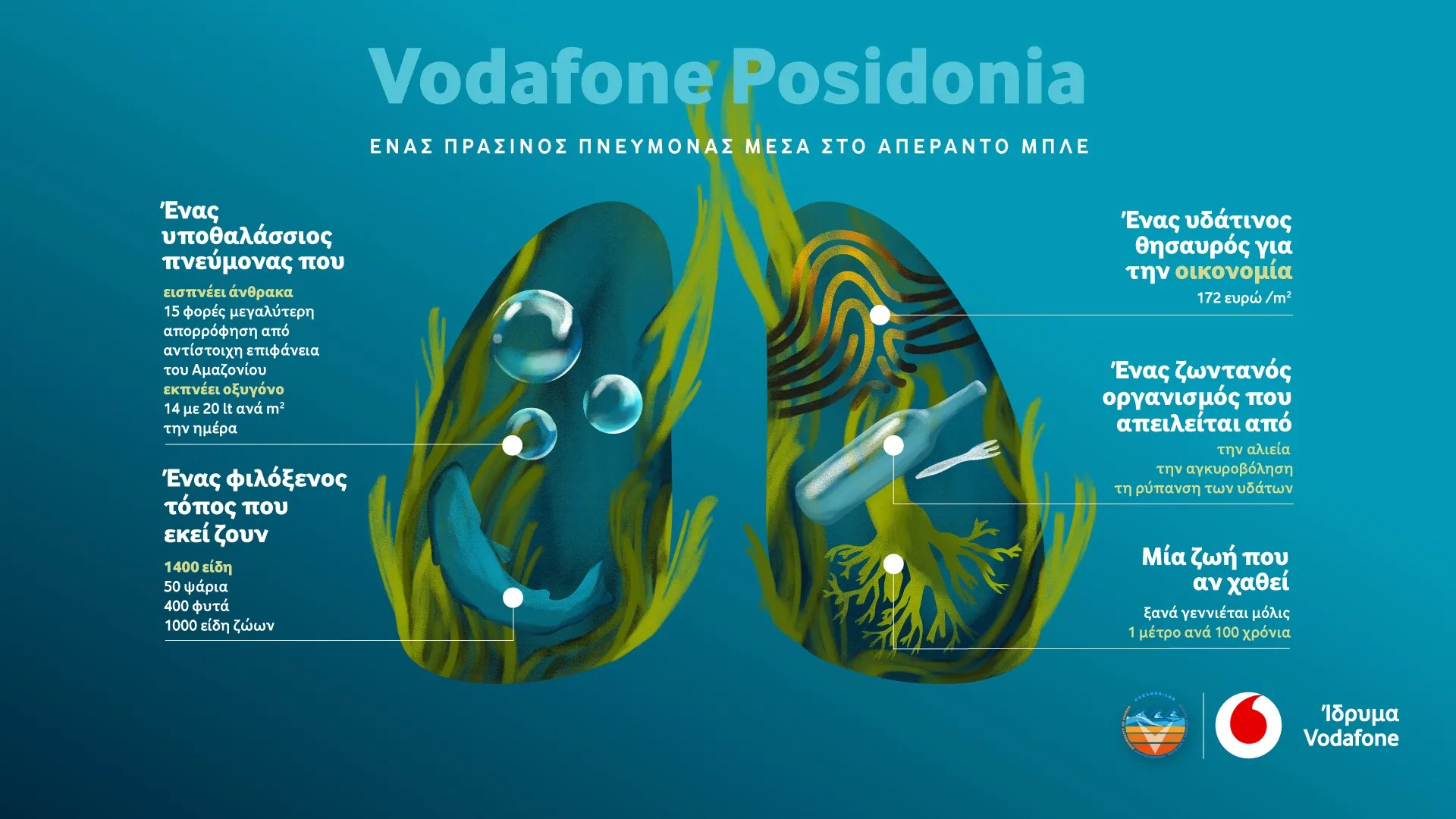 Vοdafone Posidonia: Χαρτογράφηση και προστασία της Ποσειδωνίας