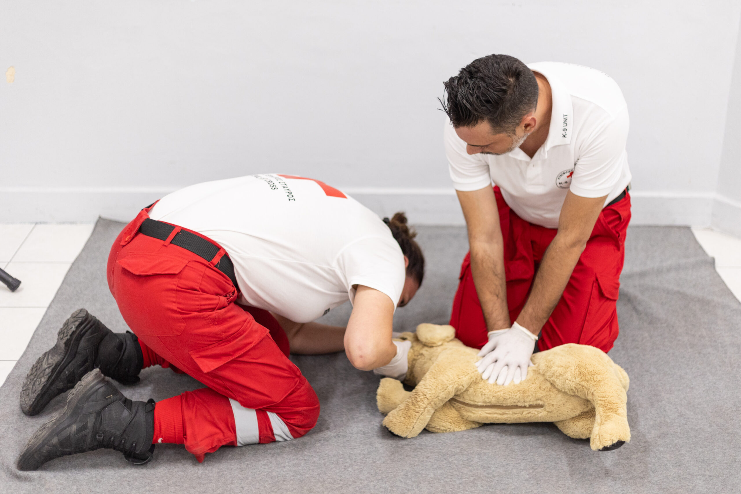 EEΣ: Μεγάλη ανταπόκριση στα σεμινάρια Πρώτων Βοηθειών για σκύλους