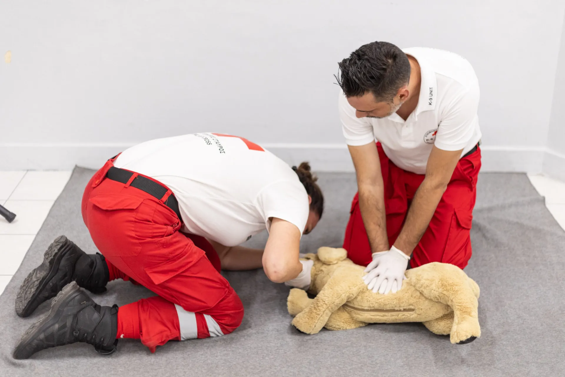 EEΣ: Μεγάλη ανταπόκριση στα σεμινάρια Πρώτων Βοηθειών για σκύλους