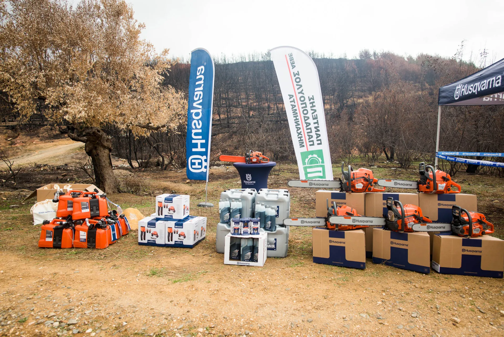 Στήριξη δασικών συνεταιρισμών με εργαλεία και τεχνογνωσία