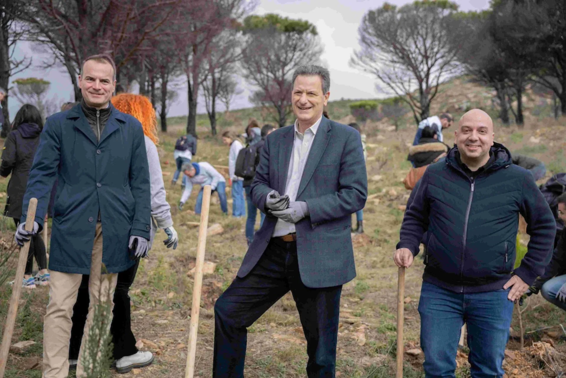 Mεγάλης κλίμακας αναδάσωση πρασινίζει την πολύπαθη Πεντέλη