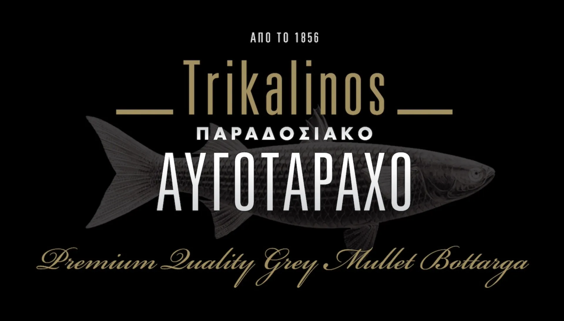 Η Trikalinos στηρίζει το 12ο Διεθνές Φεστιβάλ ΑΓΩΝ