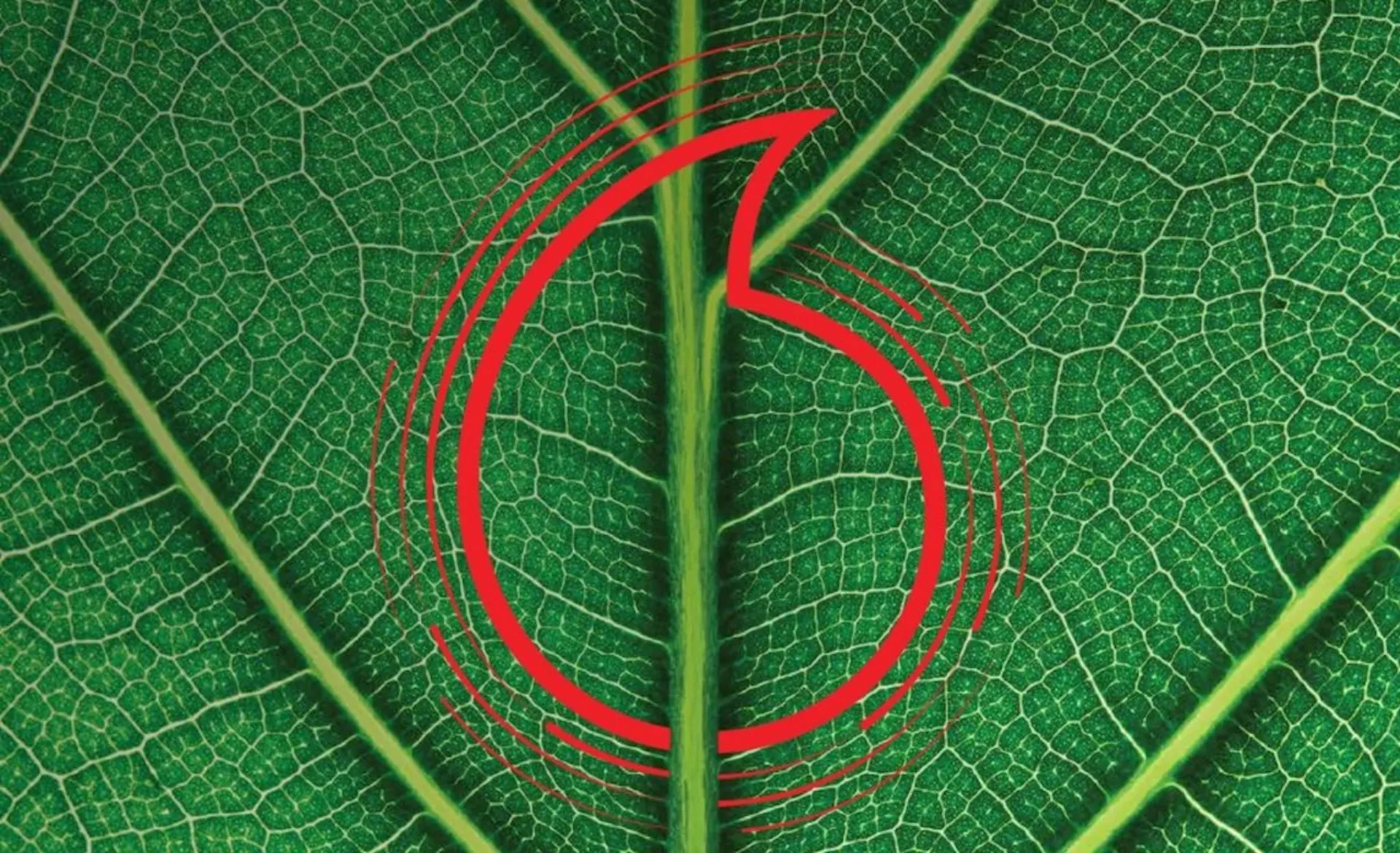 Vodafone: Εταιρική διαφάνεια και δράσεις για το Κλίμα