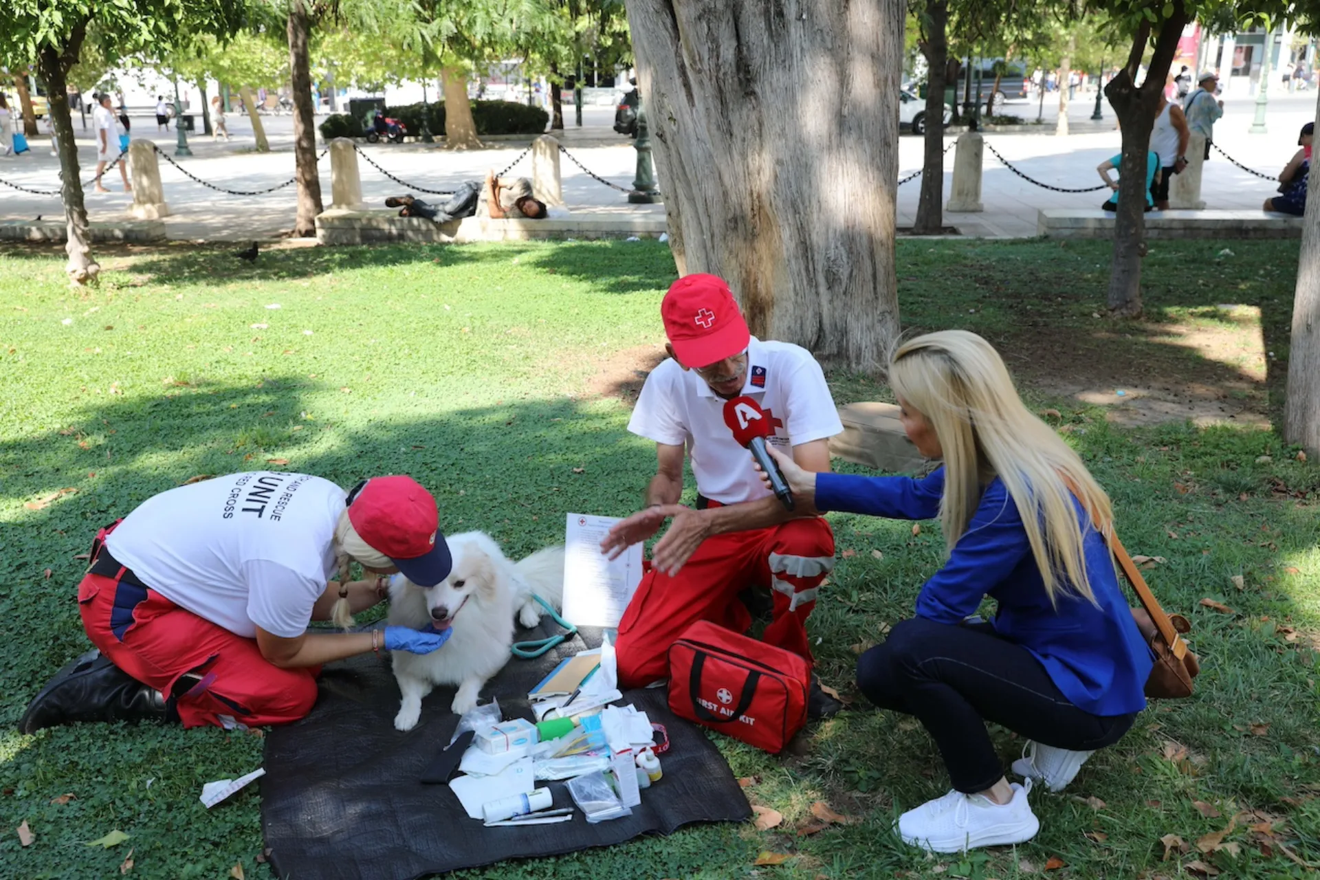 Ελληνικός Ερυθρός Σταυρός: Τίμησε την Παγκόσμια Ημέρα Σκύλου
