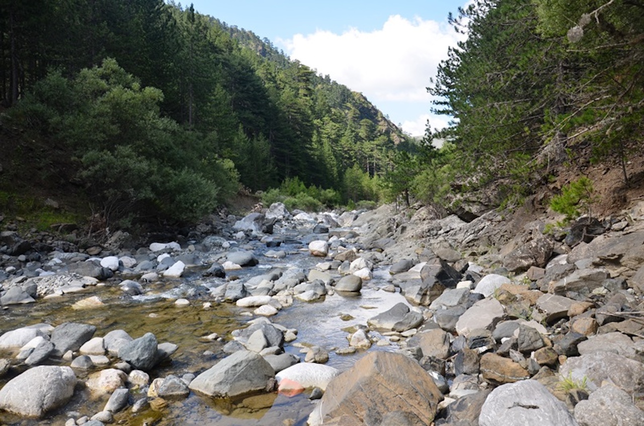 Καταστροφή οικοτόπου στο Εθνικό Πάρκο Βόρειας Πίνδου