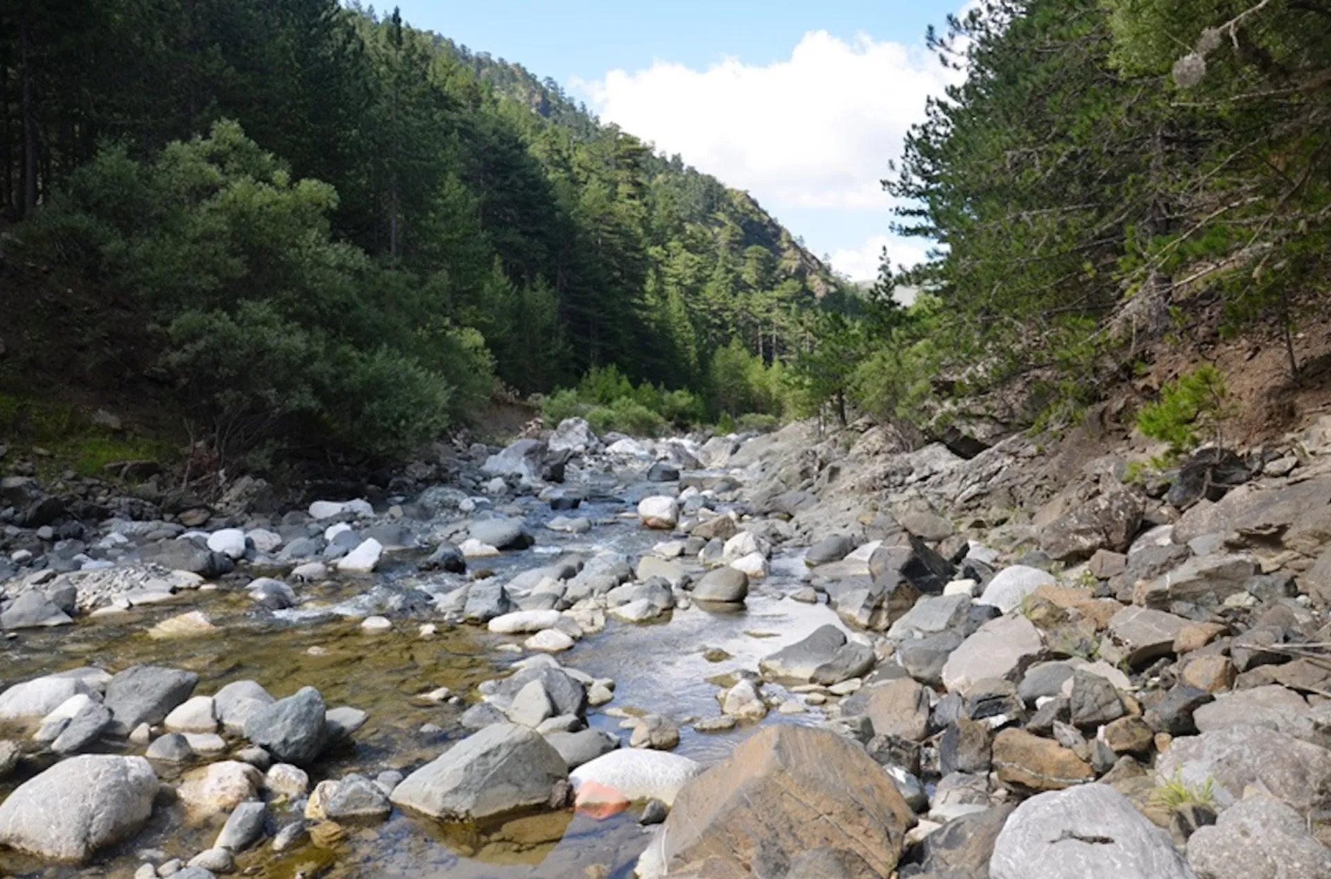 Καταστροφή οικοτόπου στο Εθνικό Πάρκο Βόρειας Πίνδου