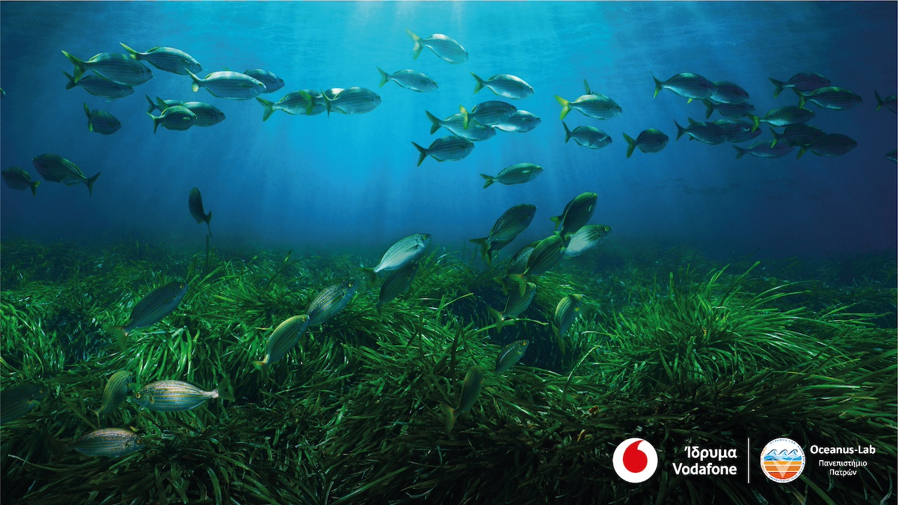 Το πρόγραμμα Vodafone Posidonia στην έκθεση Art Athina