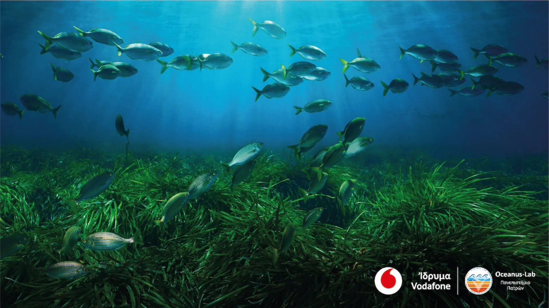 Το πρόγραμμα Vodafone Posidonia στην έκθεση Art Athina