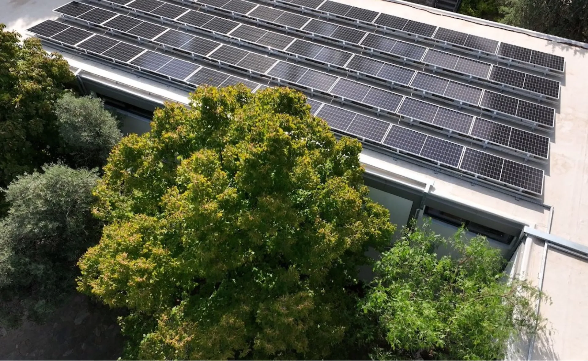 Αμερικανικό Κολλέγιο Ελλάδος: Πρωτοπορεί στη βιωσιμότητα