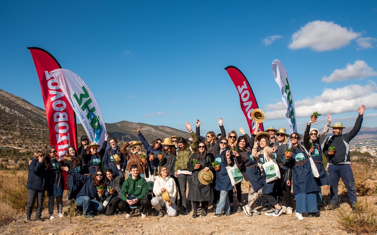 Κωτσόβολος & ΑΦΗΣ: 667 νέα δέντρα στην Παιανία