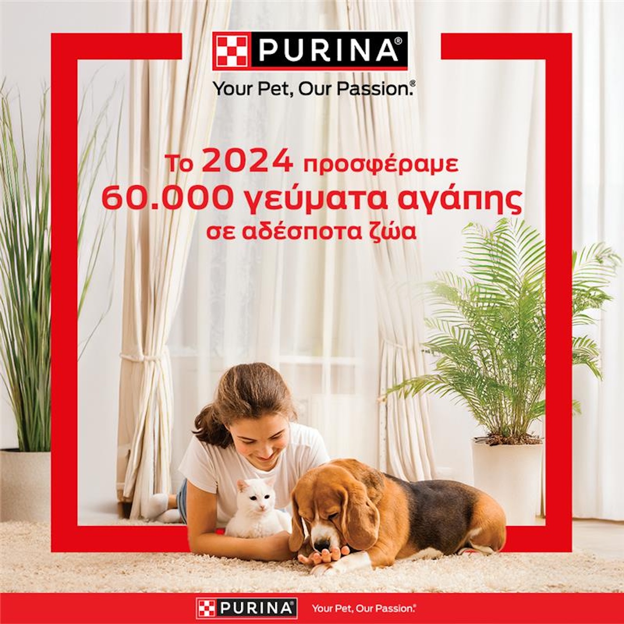Purina®: 60.000 Γεύματα για Αδέσποτα Ζώα το 2024