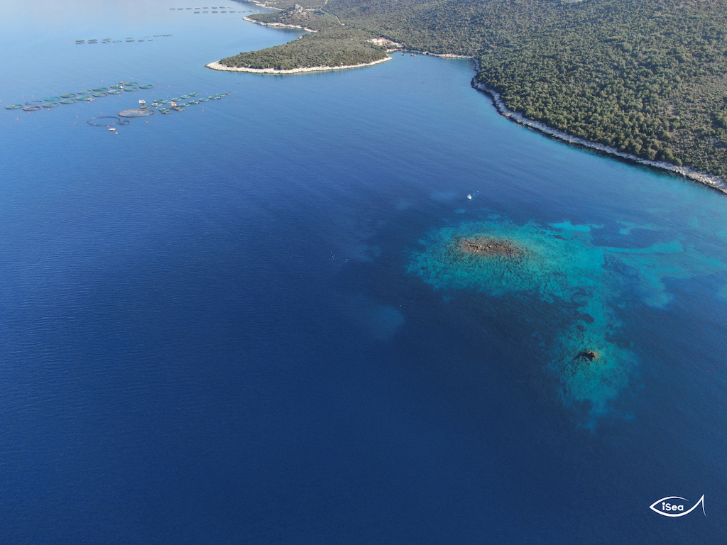 Ιχθυοκαλλιέργειες: Πώς επιδρούν στα λιβάδια Ποσειδωνίας