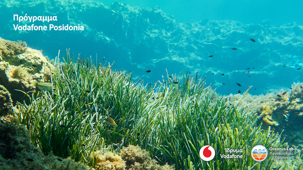 Το Vodafone Posidonia στη διεθνή Έκθεση MWC 2025