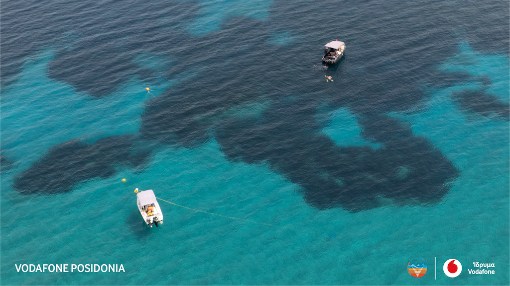 Vodafone Posidonia: Στην Επιτροπή Περιβάλλοντος της Βουλής