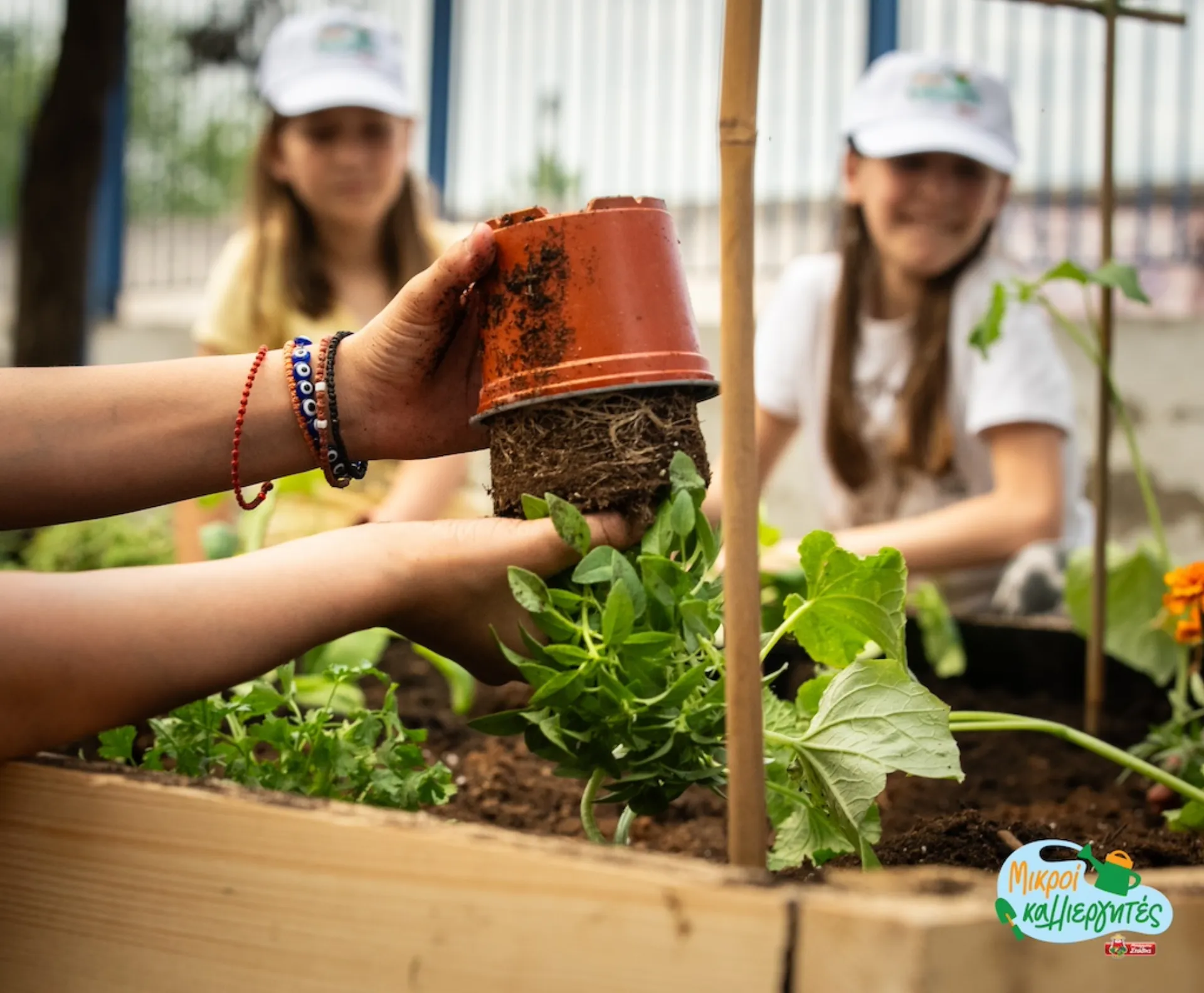 «Μικροί Καλλιεργητές»: Νέο Εκπαιδευτικό Πρόγραμμα από την ΜΠΑΡΜΠΑ ΣΤΑΘΗΣ