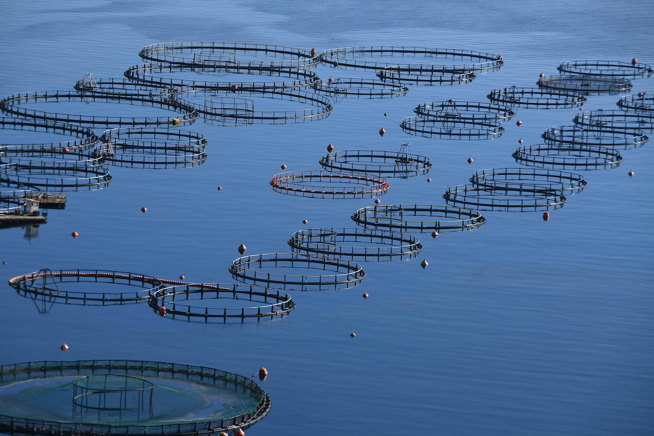Ιχθυοκαλλιέργειες: Στο ζενίθ η αντιπαράθεση για τις ΠΟΑΥ στις τοπικές κοινωνίες