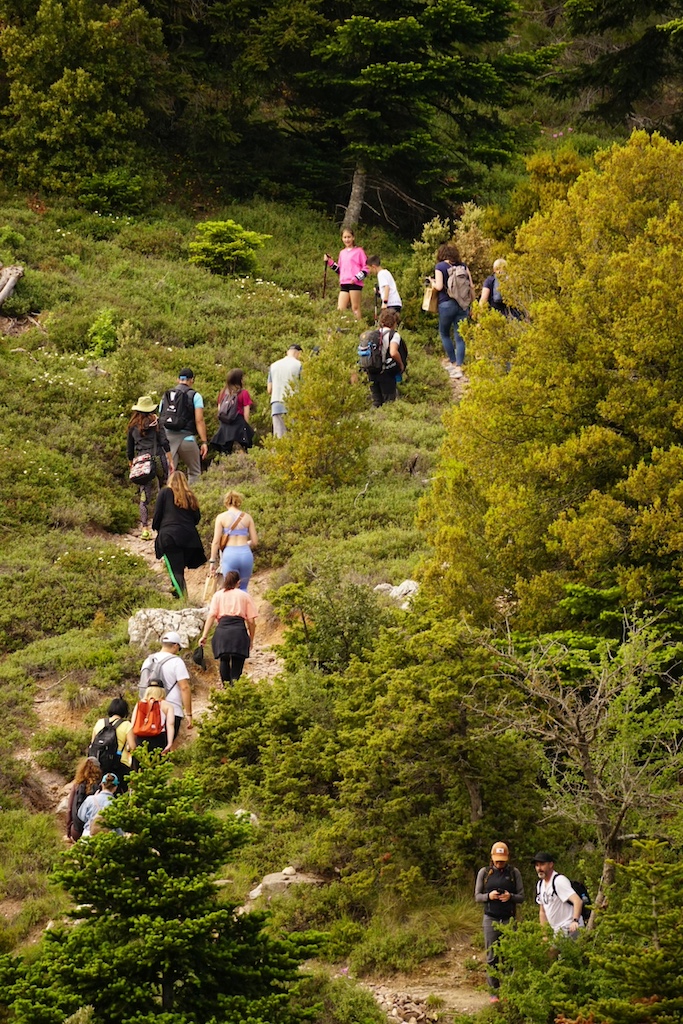 Όμιλος Σαρακάκη: Έμφαση σε εργαζόμενους και προστασία του περιβάλλοντος
