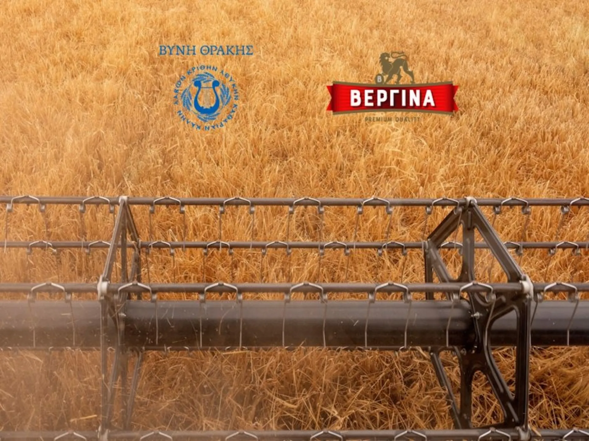 ΒΕΡΓΙΝΑ: Στηρίζει τους παραγωγούς βυνοποιήσιμου κριθαριού