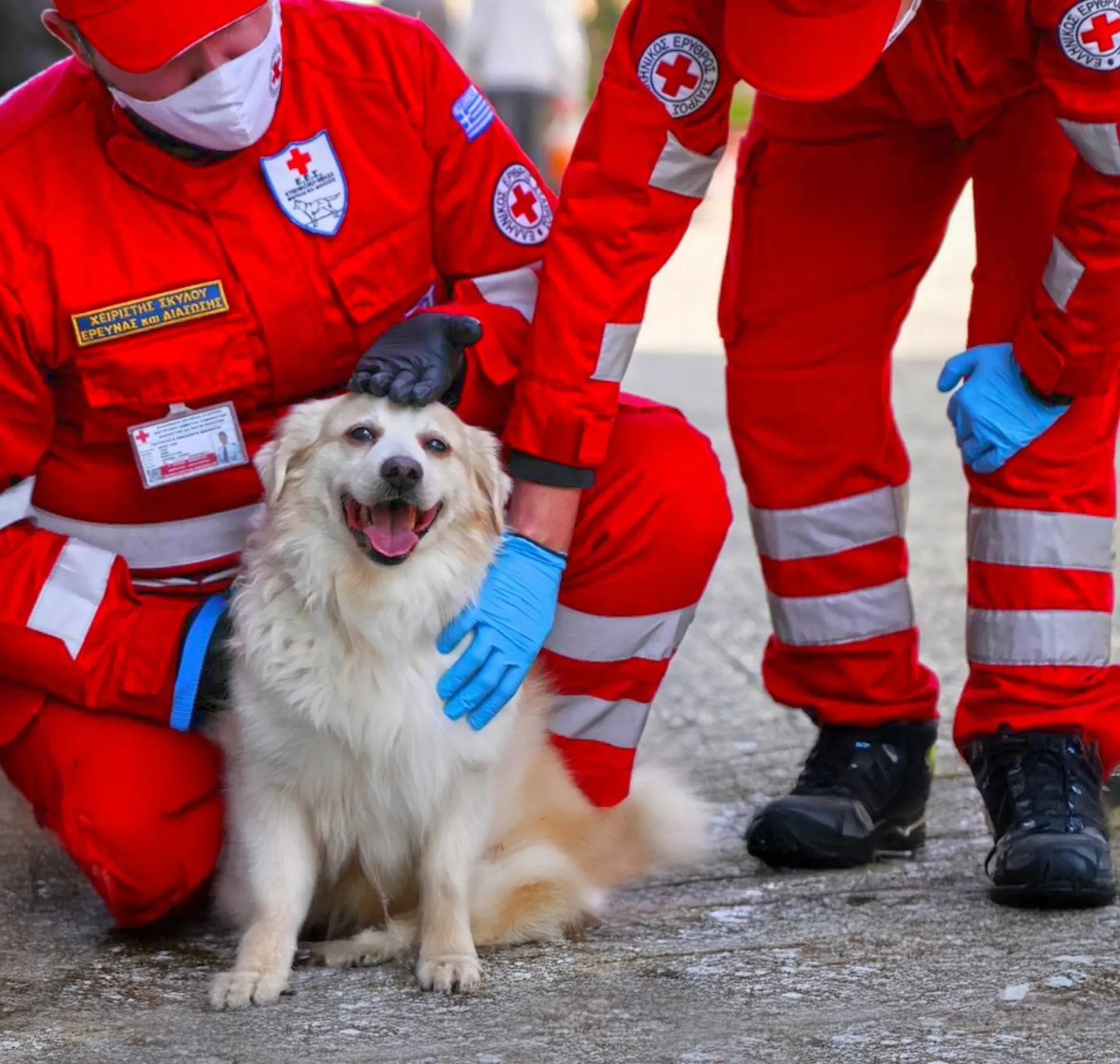Μεγάλη δράση για τους τετράποδους φίλους μας στην Πλατεία Συντάγματος