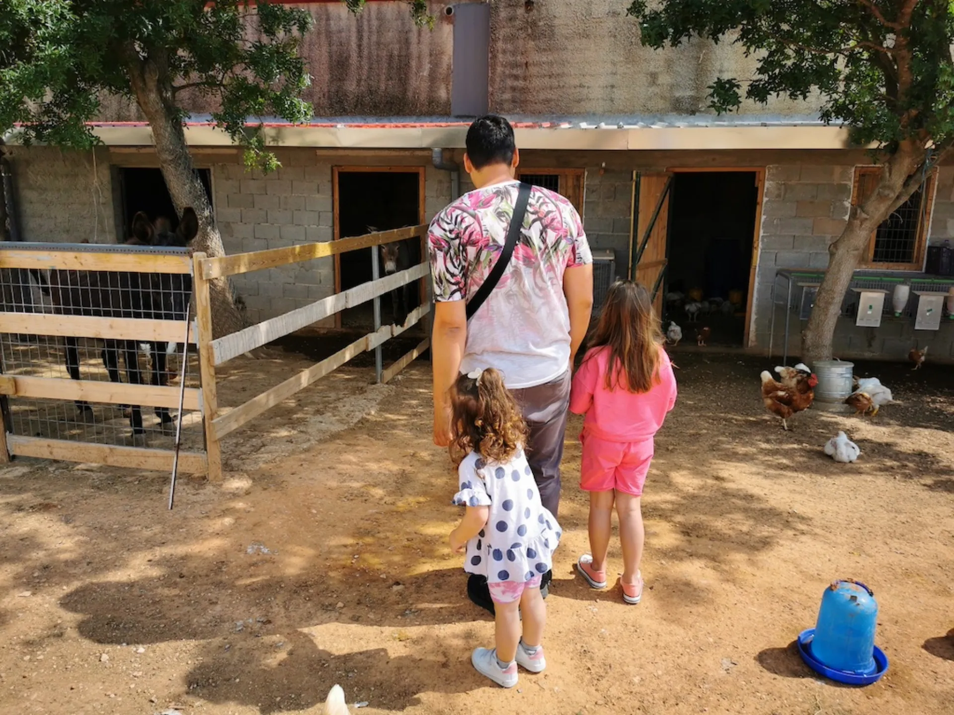 Αγγελάκης: Αρωγός στη λειτουργία της φάρμας του Χαμόγελου