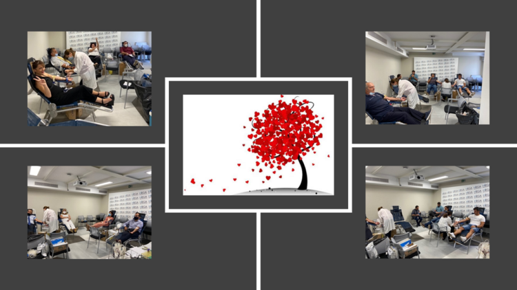 Δώρο Ζωής από τη MEGA BROKERS!