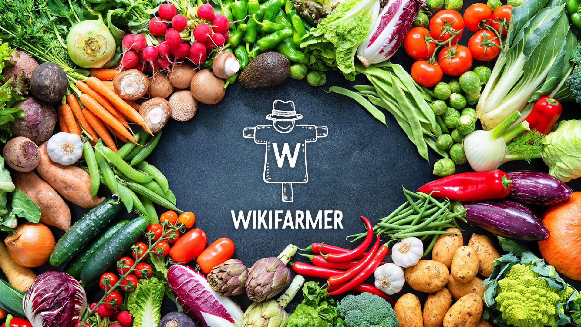 Ο Wikifarmer στο πλευρό των ασθενών με Covid-19