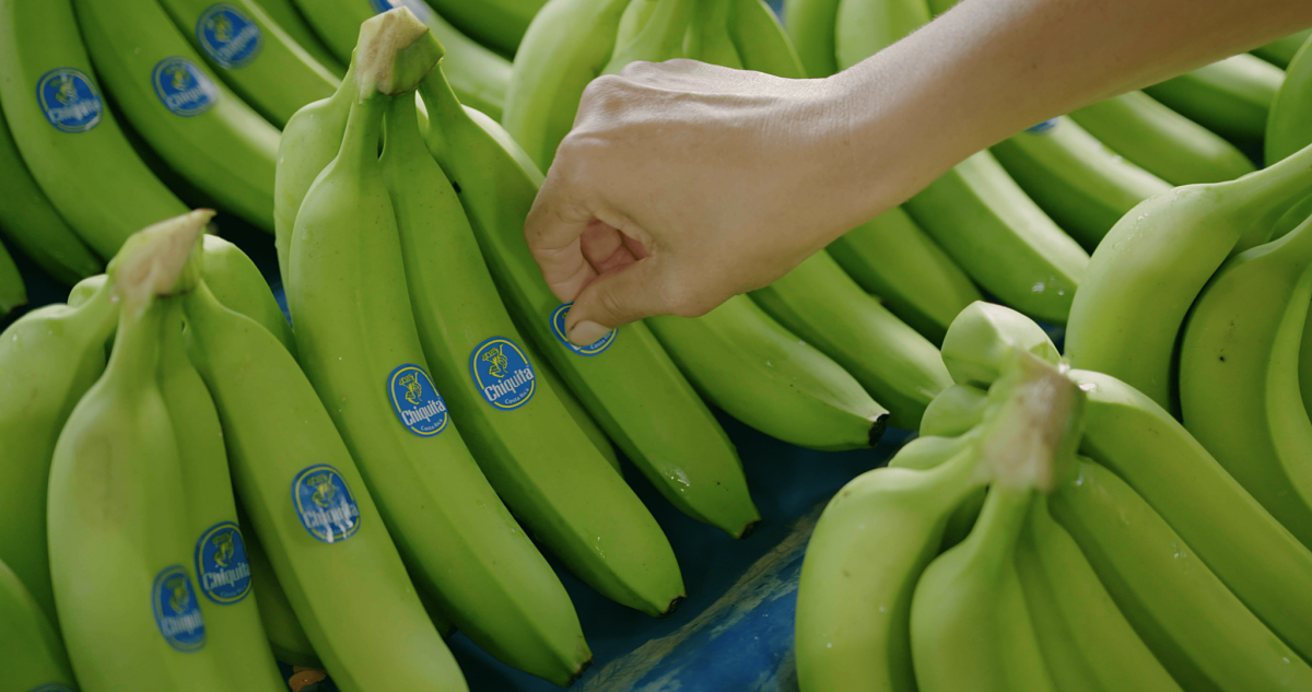 Chiquita: Μπανάνες με ουδέτερο αποτύπωμα άνθρακα